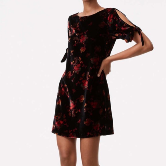 LOFT Dresses & Skirts - LOFT | Floral Velvet Dress